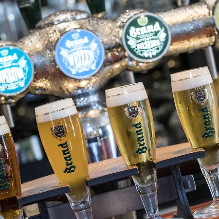 بيلدربيرغ كاستيل فالسبروك فالس